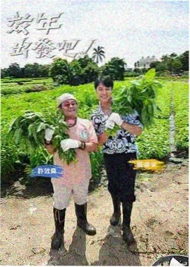 正大综艺